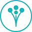 WeddingWire